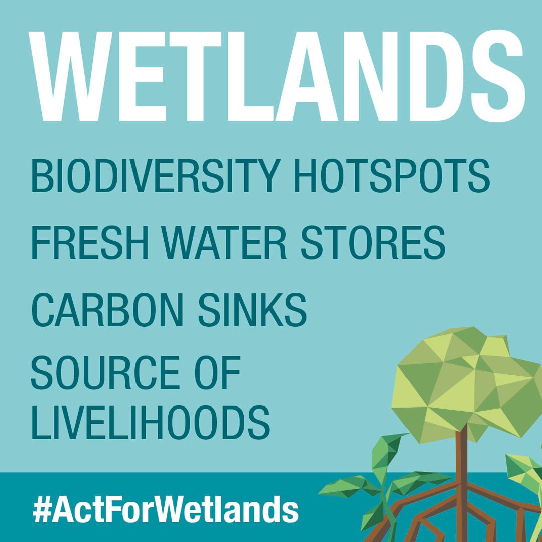  World Wetlands Day. 